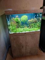 Plantenaquarium Aqualantis 180l, Dieren en Toebehoren, Ophalen, Zo goed als nieuw