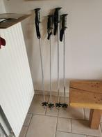wandel stokken, Sport en Fitness, Bergsport en Wandelen, Ophalen