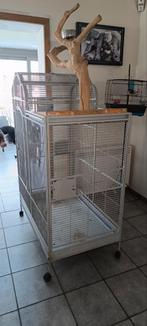 Cage perroquet, Utilisé, Enlèvement ou Envoi
