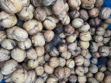 verse noten beschikbaar voor biedingen