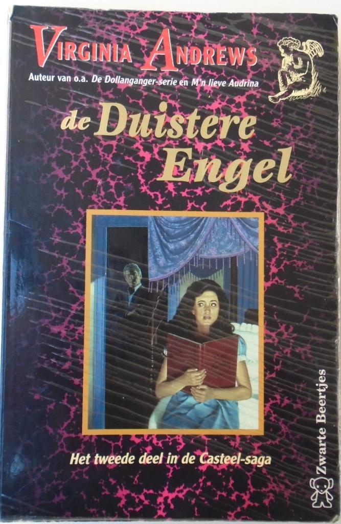 DE DUISTERE ENGEL 9789044925982, Livres, Romans, Utilisé, Pays-Bas, Enlèvement ou Envoi