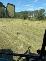 Kleine balen hooi, stro en voordroog, Dieren en Toebehoren