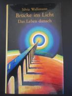 Brücke ins Licht, Boeken, Esoterie en Spiritualiteit, Ophalen of Verzenden, Zo goed als nieuw, Ziel of Sterfelijkheid, Achtergrond en Informatie