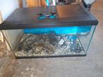 Gratis aquarium GERESERVEERD, Dieren en Toebehoren, Ophalen