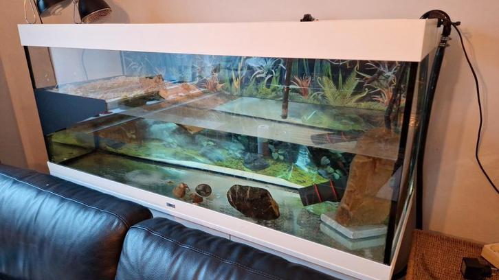 Aquarium / paludarium, Dieren en Toebehoren, Reptielen en Amfibieën | Toebehoren, Gebruikt, Terrarium of Paludarium, Ophalen