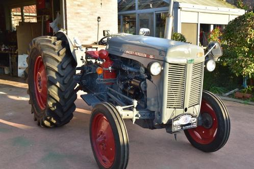 Oldtimer Traktor Massey Ferguson, Zakelijke goederen, Landbouw | Tractoren, 5000 tot 7500, Massey Ferguson, Gebruikt, Ophalen