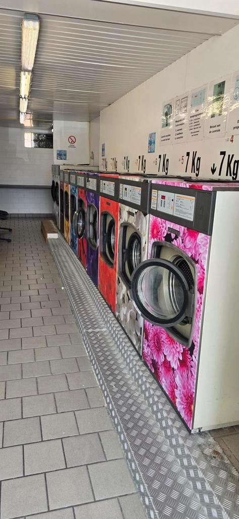industriele wasmachines en droogkasten, Zakelijke goederen, Overige Zakelijke goederen, Ophalen