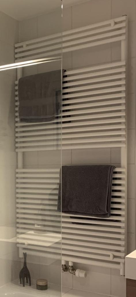 Radiateur, Doe-het-zelf en Bouw, Verwarming en Radiatoren, Gebruikt, Radiator, 800 watt of meer, 80 cm of meer, 60 tot 150 cm