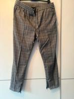 Pantalon homme ( de petite taille), Vêtements | Hommes, Pantalons, Gris, Enlèvement ou Envoi, SWD, Porté