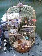 cage canari, Enlèvement, Utilisé, Métal