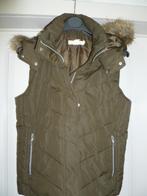 groene dames bodywarmer met capuchon, maat 40, Vêtements | Femmes, Blousons sans Manches, Enlèvement ou Envoi, Comme neuf, Taille 38/40 (M)