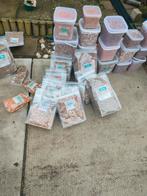 Meel wormen, Dieren en Toebehoren, Ophalen