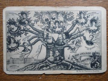 Stamboom van de Belgische Monarchie tot 1910. beschikbaar voor biedingen