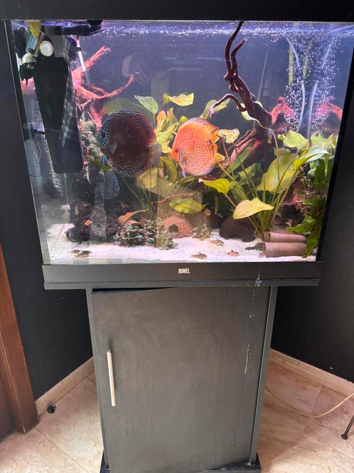Lido200, Dieren en Toebehoren, Vissen | Aquaria en Toebehoren, Zo goed als nieuw, Ophalen of Verzenden