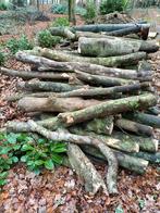 Te koop haagbeuk, Tuin en Terras, Brandhout, Ophalen