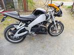 Buell xb9r, Motos, Motos | Buell, 2 cylindres, Particulier, 900 cm³, Naked bike