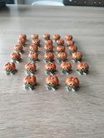 Jackpot met pompoen en bonen, Ophalen of Verzenden, Zo goed als nieuw, Overige typen