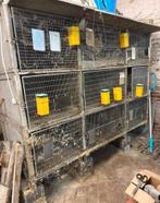 9 clapiers à lapin béton., Doe-het-zelf en Bouw, Kratten en Dozen