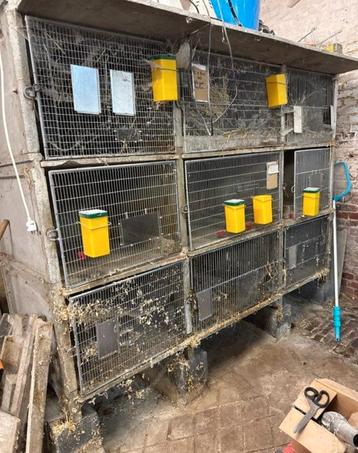 9 clapiers à lapin béton. beschikbaar voor biedingen
