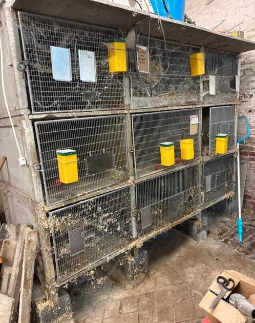 9 clapiers à lapin béton., Doe-het-zelf en Bouw, Kratten en Dozen