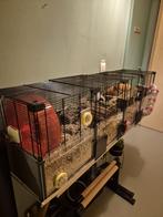 Hamster kooi en toebehoren, Moins de 60 cm, Cage, Enlèvement, Utilisé