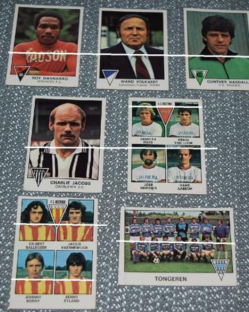 Panini / Football 78 / lot van 7 stickers beschikbaar voor biedingen