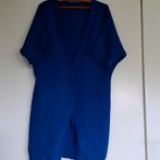 Fragile cardigan kid mohair mix maat L Nieuwstaat, Kleding | Dames, Ophalen of Verzenden, Nieuw, Maat 42/44 (L)