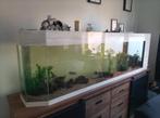 Aquarium, Dieren en Toebehoren, Vissen | Aquaria en Toebehoren, Ophalen, Gebruikt, Gevuld zoetwateraquarium