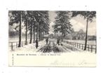 Souvenir de Verviers NA75: Chemin de Maisons bois, Collections, Cartes postales | Belgique, Envoi, Avant 1920, Affranchie, Liège