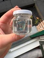 Water opaal, Verzamelen, Ophalen of Verzenden