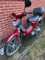 Honda Wallaroo Deluxe A-Klasse, Enlèvement, Comme neuf