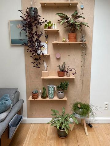 Plantenwand beschikbaar voor biedingen