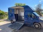 Camionette chevaux, Dieren en Toebehoren, Paarden en Pony's | Trailers en Aanhangwagens, Ophalen, Gebruikt, Overige typen