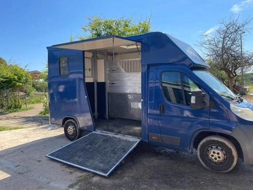 Camionette chevaux, Dieren en Toebehoren, Paarden en Pony's | Trailers en Aanhangwagens, Gebruikt, Overige typen, Ophalen