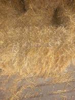 Kleine botjes stro, Ophalen