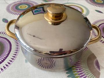 Stoofpot/steelpan met deksel  beschikbaar voor biedingen