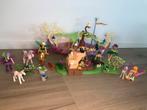 Playmobil - fairies, Ophalen, Los Playmobil