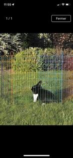 Cage à lapins, Animaux & Accessoires, Rongeurs & Lapins | Cages & Clapiers, Comme neuf, Lapin, Cage