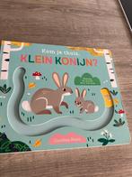 Kom je thuis, klein konijn boekje, Kinderen en Baby's, Speelgoed | Educatief en Creatief, Ophalen