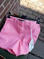 Dames korte broek Love Moschino Mt38, Kleding | Dames, Maat 38/40 (M), Love Moschino, Nieuw, Ophalen of Verzenden
