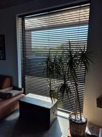 Kwantum Aluminium Jaloezie Bodine Zwart 50mm, Ophalen, Nieuw