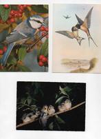 6 cartes oiseaux, Verzamelen, Postkaarten | Dieren, Ophalen of Verzenden, Vogel