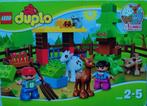 Duplo bosdieren 10582, Ophalen, Zo goed als nieuw, Complete set, Duplo