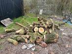 Brandhout, Tuin en Terras, Minder dan 3 m³, Ophalen, Overige houtsoorten, Blokken