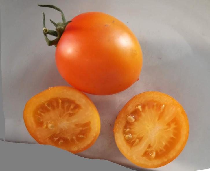 tomaat Jaune Flammée - 5 zaden, Tuin en Terras, Bloembollen en Zaden, Zaad, Voorjaar, Volle zon, Verzenden