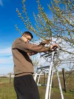 Fruitbomen snoeien, Tuin en Terras, Planten | Bomen, Ophalen of Verzenden