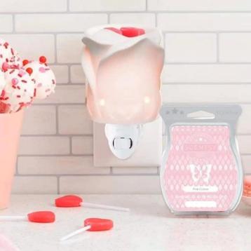 Te koop Scentsy mini warmer Tea Rose €15 NIEUW  beschikbaar voor biedingen