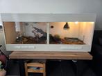2 boa emperator morps + terrarium 1.50 - 60 - 60 te koop, Dieren en Toebehoren, Reptielen en Amfibieën | Toebehoren, Ophalen, Zo goed als nieuw