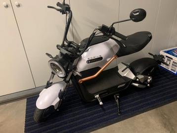 Miku Sunra Max beschikbaar voor biedingen
