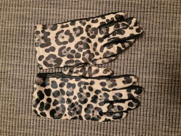 Essentiel Antwerp handschoenen 100% leder beschikbaar voor biedingen